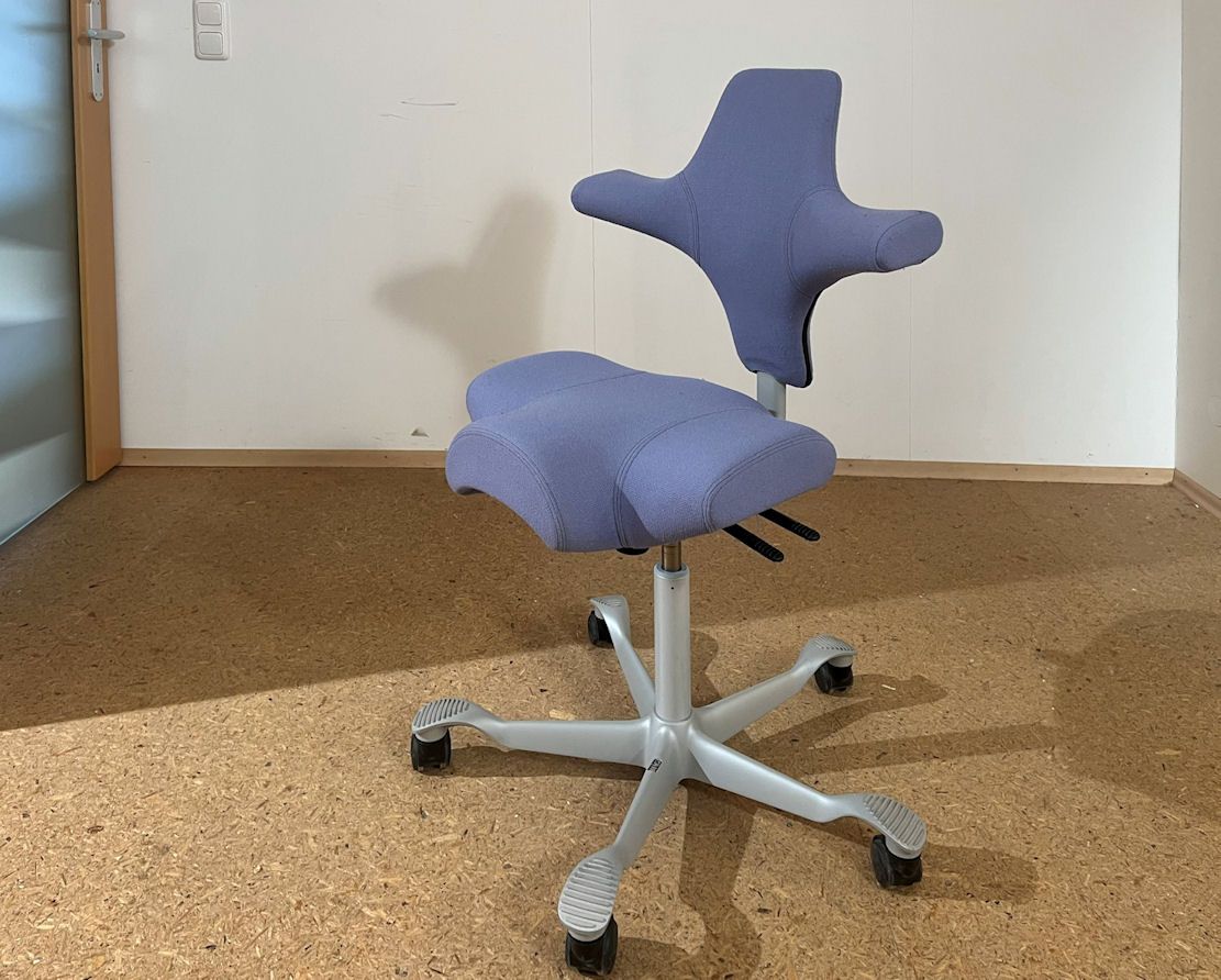 Bürostuhl Capisco