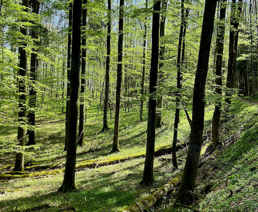 startseite_nachhaltigkeit_0826