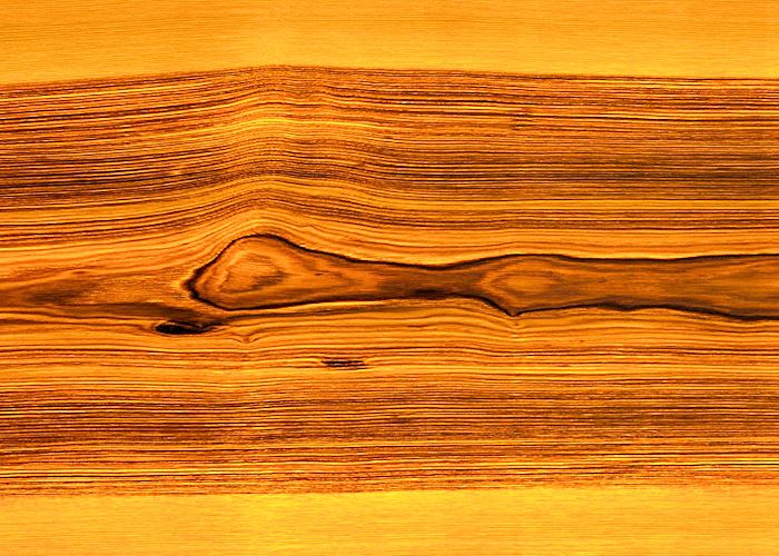 Stehleuchte Trunk - H 175 cm, Ahorn