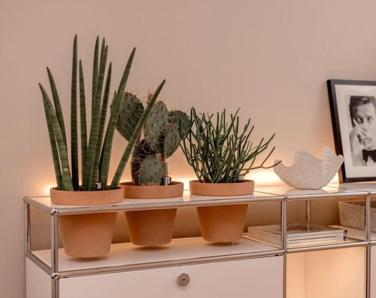 Hole Dir die Natur ins Haus - mit der USM Pflanzenwelt: Das ebenso elegante wie einfache System zur Begrünung Deiner Wohnwand lässt Deine Pflanzen und Deinen Raum leben, hier mit indirekter Beleuchtung 